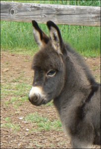 Click here to enlarge this picture.