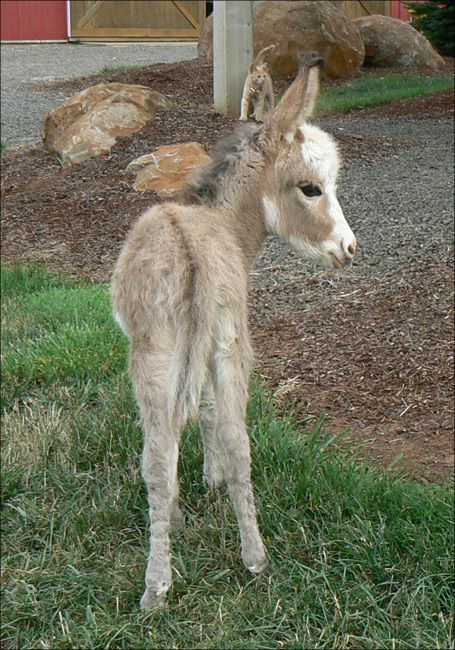 Click here to enlarge this picture.