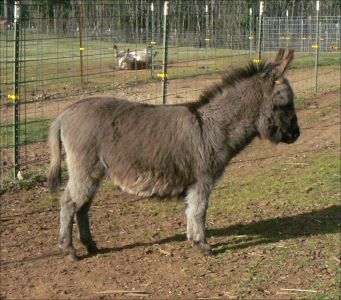 Click here to enlarge this picture.