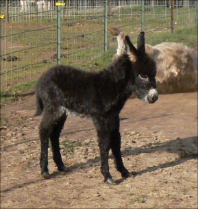 Click here to enlarge this picture.