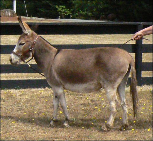 Click here to enlarge this picture.