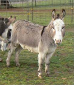 Click here to enlarge this picture.