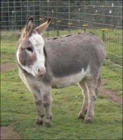 Click here to enlarge this picture.