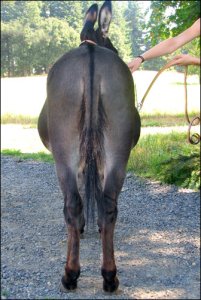 Click here to enlarge this picture.