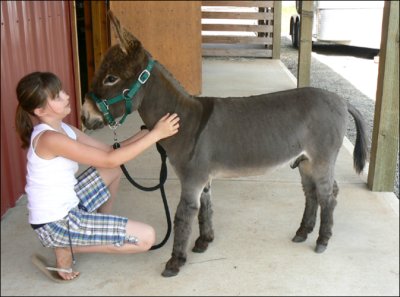 Click photo to enlarge image