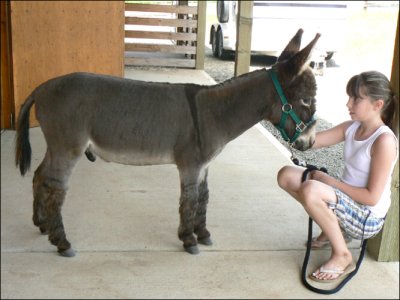 Click photo to enlarge image