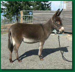 Gabriella Grace, daughter