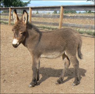 Click photo to enlarge image