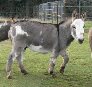 Click here to enlarge this picture.