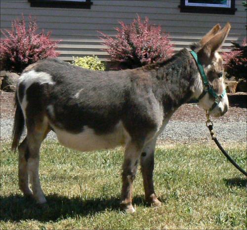 Click here to enlarge this picture.