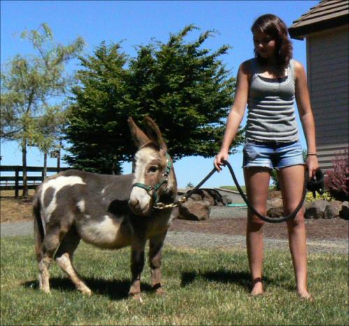 Click here to enlarge this picture.