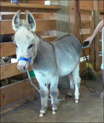 Click photo to enlarge image