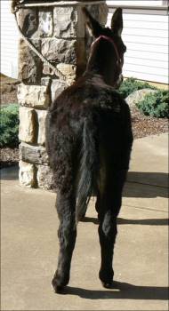 Click photo to enlarge image