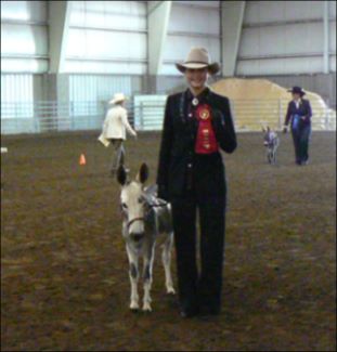 Click photo to enlarge of miniature donkey for sale