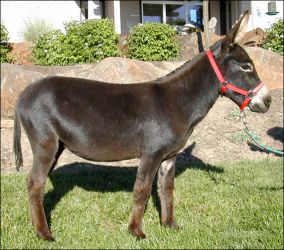 Click here to enlarge this picture.