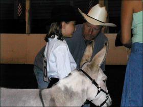 Click here to enlarge this picture.