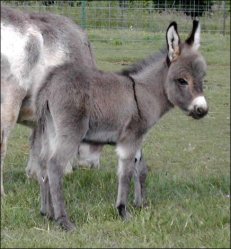 Click here to enlarge this picture.