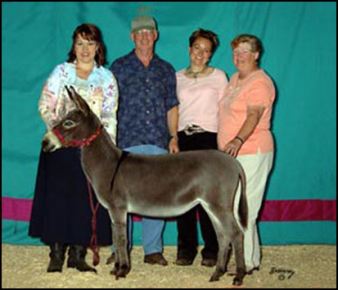 Click here to enlarge this picture.