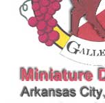 Rancho Galleano Miniature Donkeys