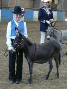 Click here to enlarge this picture.