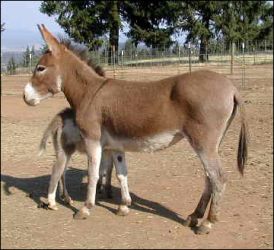 Click photo to enlarge