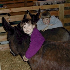 Mini donks make such warm huggable pets.