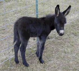 Click here to enlarge this picture.