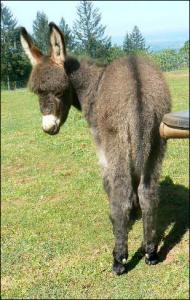 Click photo to enlarge image