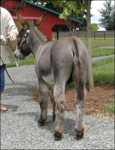 Click here to enlarge this picture.