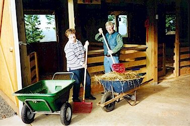 Click here to enlarge this picture.