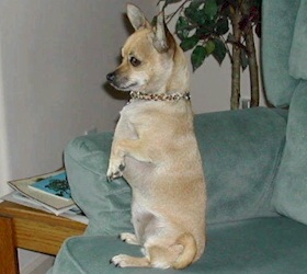 Click here to enlarge this picture.