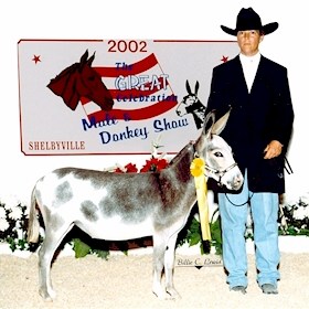 Click here to enlarge this picture.